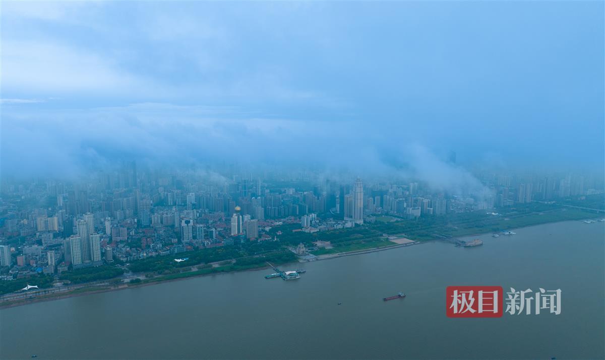 317顶级游戏